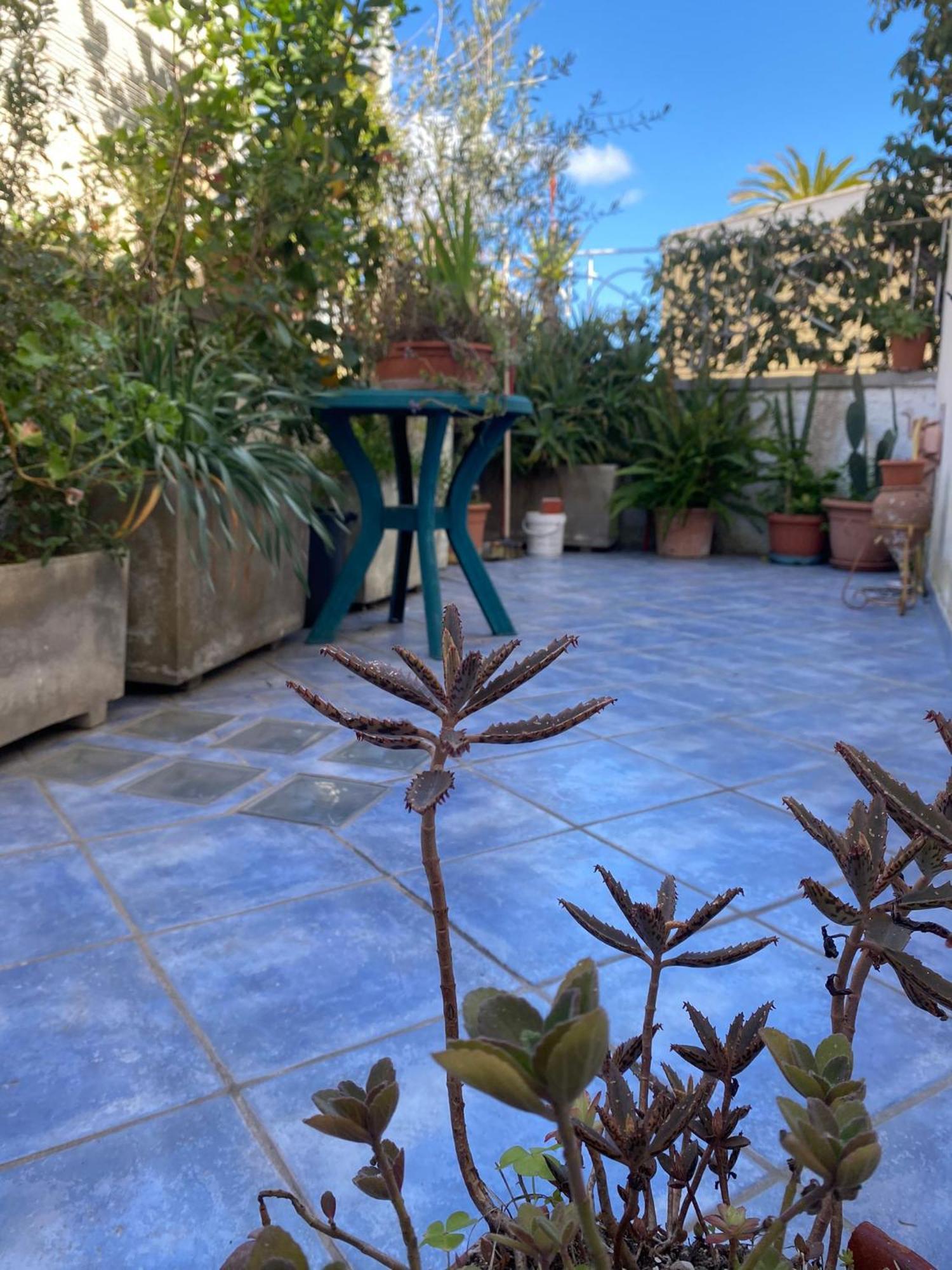 Casa Vacanza Maronti Barano dʼIschia Exteriör bild